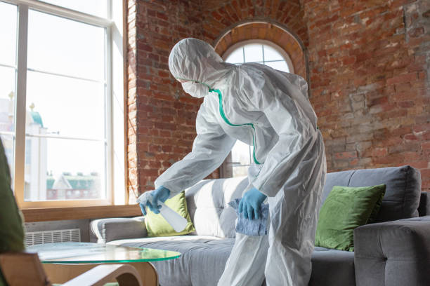 Why You Should Choose Our Mold Remediation Services in Citrus City, TX